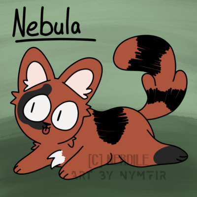 The Nebula